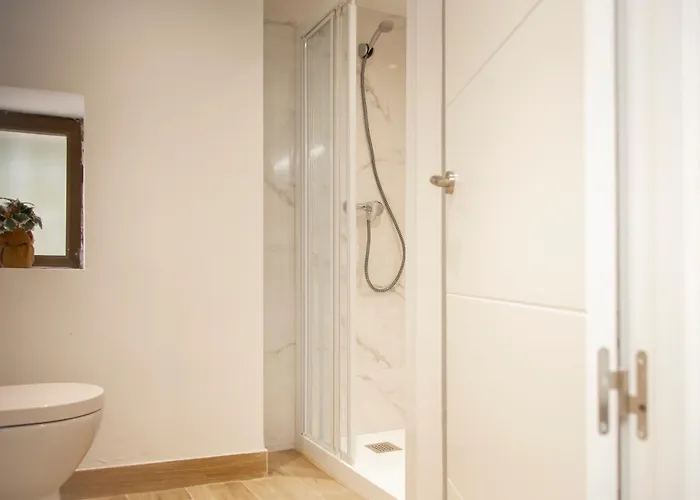 Apartamento Centro Zumaia2 *