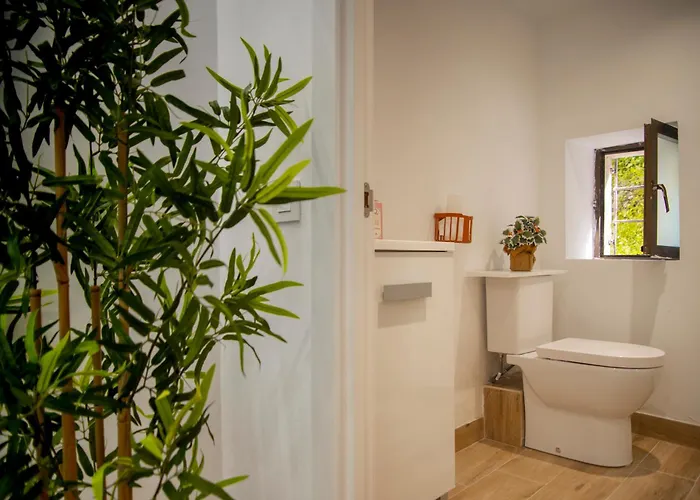 Apartamento Centro Zumaia2 *