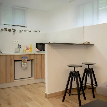 Apartmán Centro Zumaia2 *